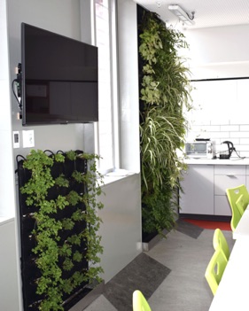 a hydroponic wall