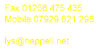 lys johnson contacts details